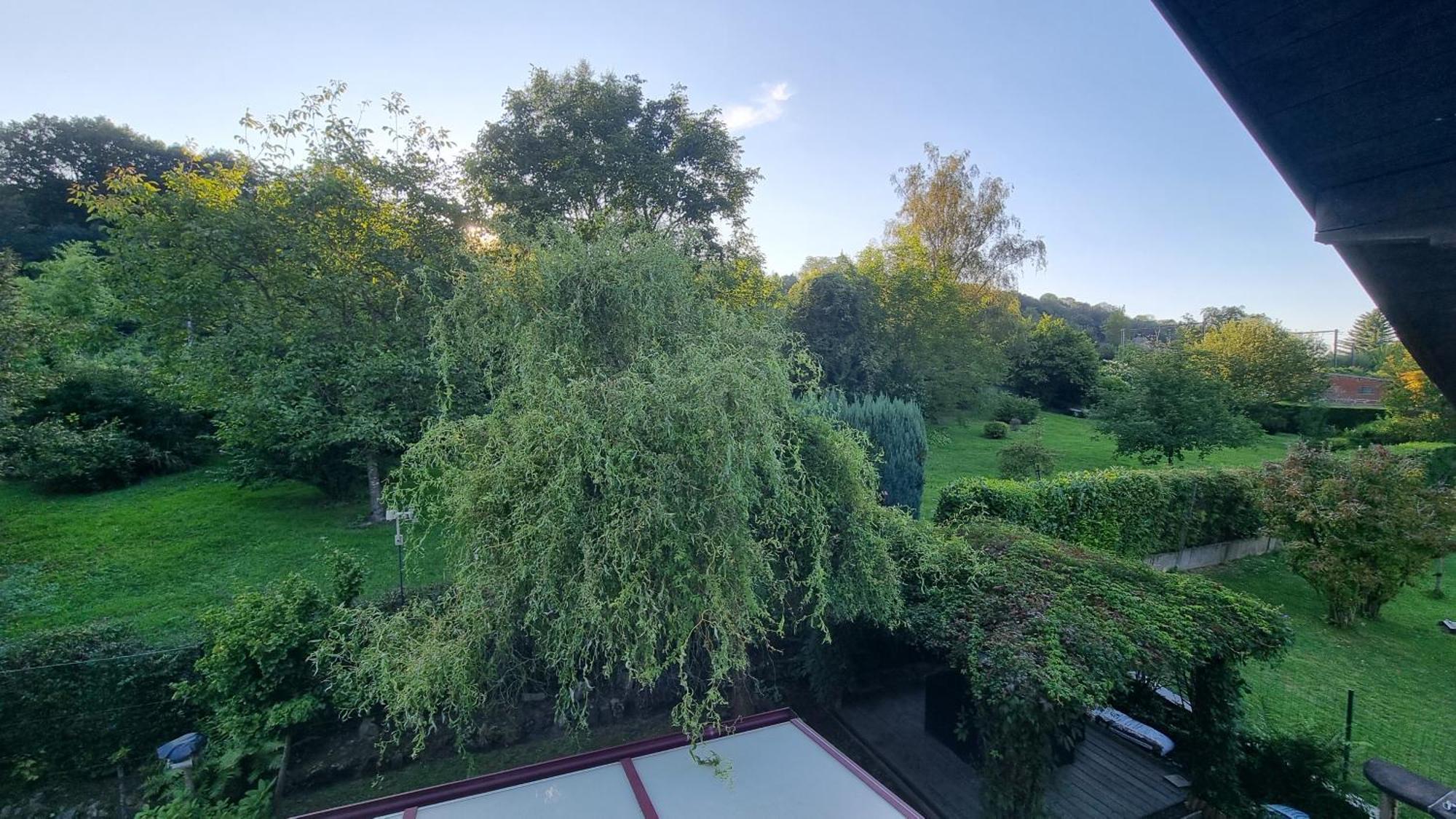 L Orchidee Villa Динант Екстериор снимка